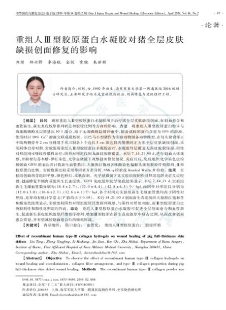 2019 動物研究，重組人Ⅲ型膠原蛋白水凝膠對豬全層皮膚缺損創(chuàng)面修復(fù)的影響