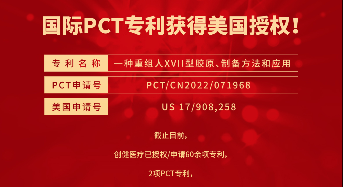喜訊 | 成功獲得美國(guó)授權(quán)，又一張PCT專利收入囊中！